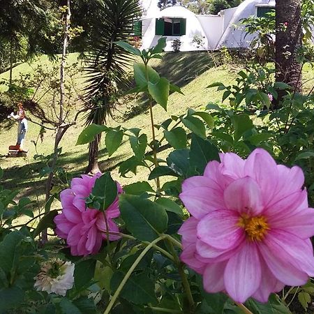 Pousada Igloo Campos do Jordao Ngoại thất bức ảnh